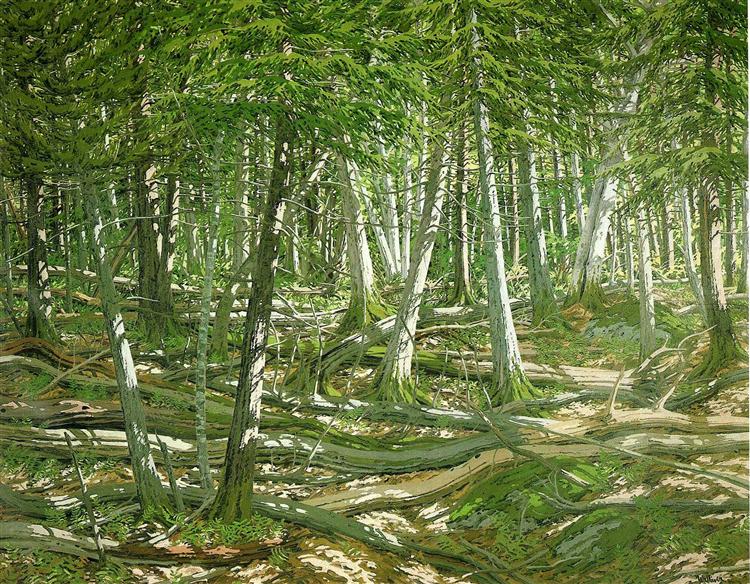 Old Windfall, 1981 - 1982 - Neil Welliver