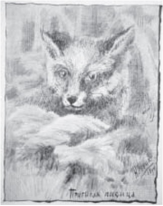 Profit fox, 1894 - Николай  Рерих