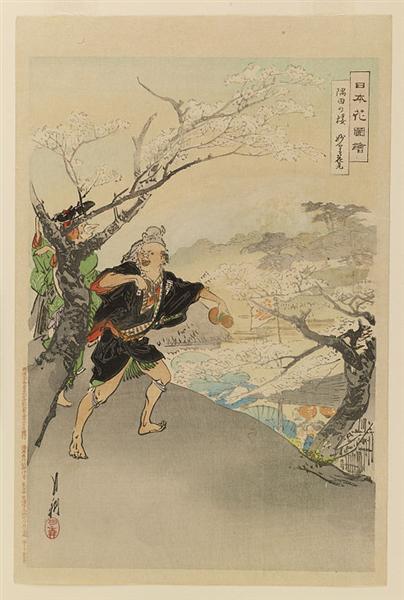 Nihon hana zue, 1897 - 尾形月耕