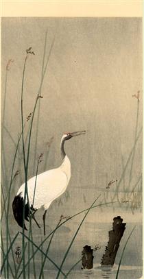 Crane in small water - Ohara Koson