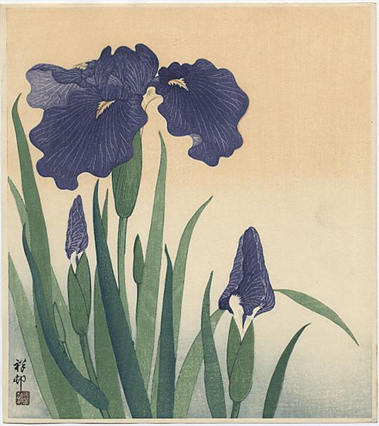 Flowering iris, 1934 - 小原古邨
