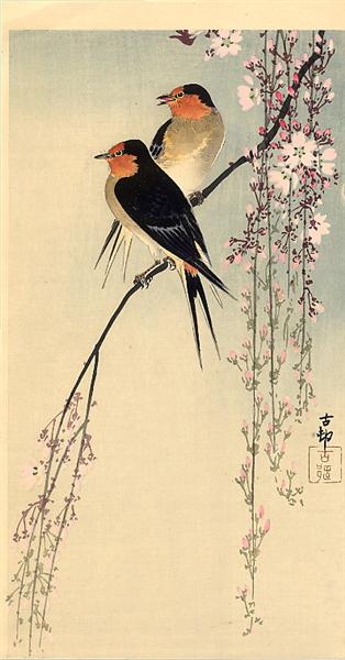 Swallows with cherry blossom, c.1910 - Koson Ohara