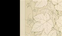 Leaves and Flowers from Nature Ornament no. 2. Vine-leaves, full size - Owen Jones