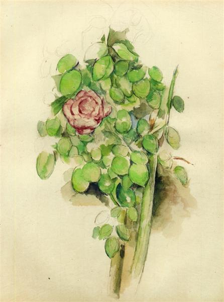 Rose Bush, c.1888 - 塞尚