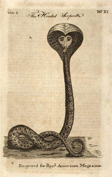 Hooded Serpent, 1774 - Paul Revere