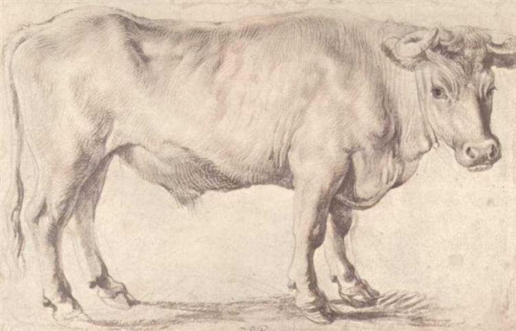 Bull, c.1618 - c.1620 - Питер Пауль Рубенс