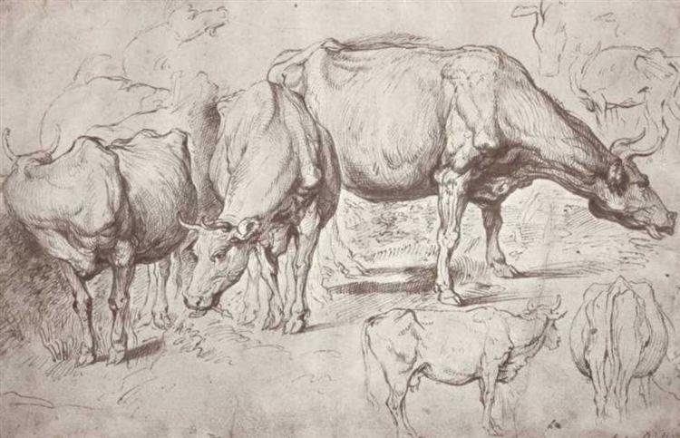 Cows, c.1620 - Питер Пауль Рубенс