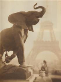 Elephantasy - Pierre Dubreuil