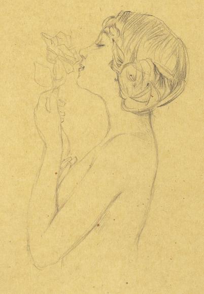 Nude Drawings - Raphael Kirchner