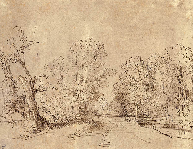 A Wooded Road, 1650 - 林布蘭