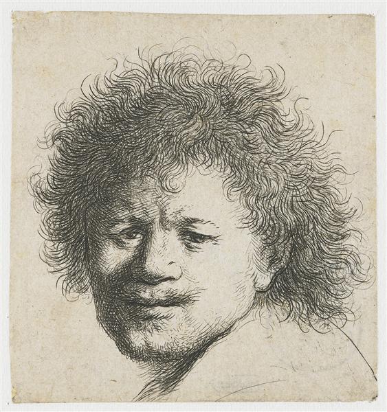 Self-portrait with long bushy hair, 1631 - Rembrandt