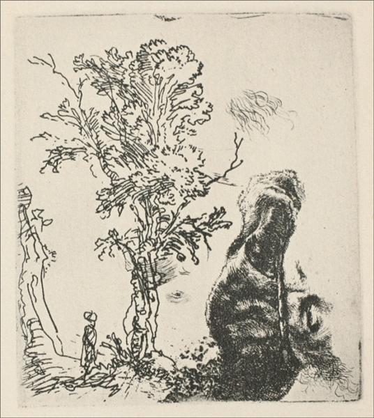 Ескіз дерева, 1638 - Рембрандт