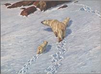 Polar bear family - Ріхард Фрізе