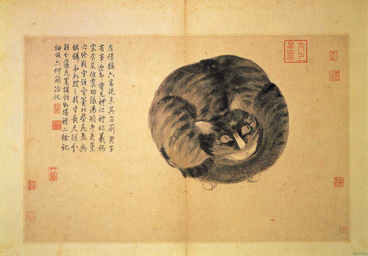 Cat (Sketches from Life) - 沈周