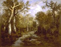 The Forest of Fontainebleau - Theodore Rousseau