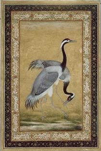 Two Cranes - Mansur
