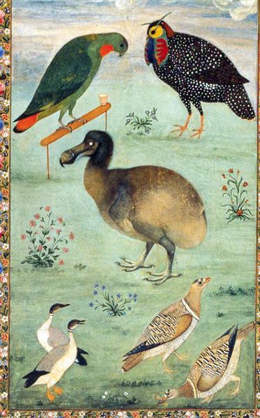 Untitled (Dodo), c.1625 - Ustad Mansur