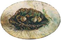 Basket of Sprouting Bulbs - Винсент Ван Гог