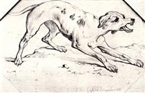 Dog - Vincent van Gogh