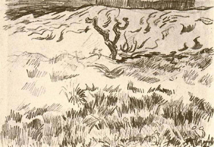 Field with Bare Tree, 1889 - Вінсент Ван Гог