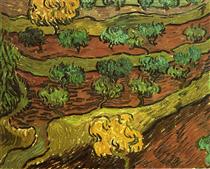 Olive Trees against a Slope of a Hill - Vincent van Gogh