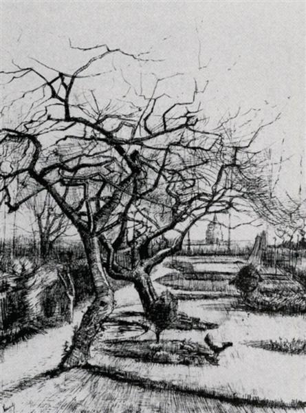 Parsonage Garden, 1884 - 梵谷