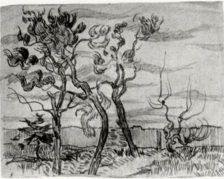 Pine Trees in Front of the Wall of the Asylum, 1889 - Vincent van Gogh