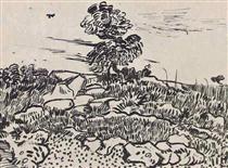 Rocks with Oak Tree - Вінсент Ван Гог