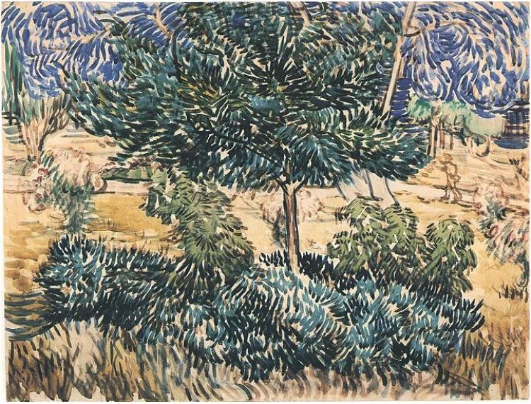 Trees and Shrubs, 1889 - Vincent van Gogh