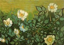 Wild Roses - Vincent van Gogh