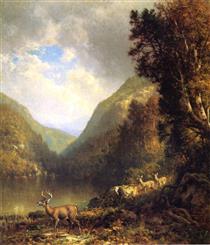 Deer in the Adirondacks - Уильям Харт