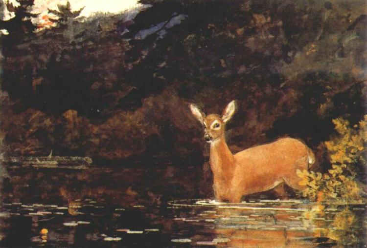 Solitude, 1889 - 温斯洛·霍默